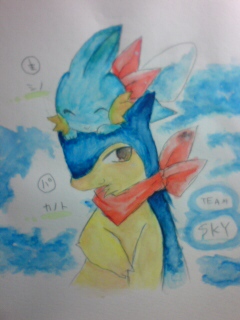 SKY