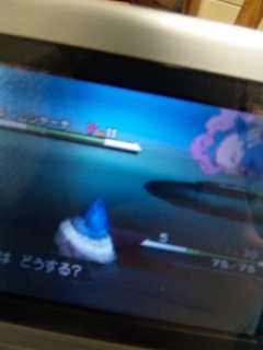 �ނ���c