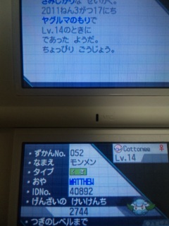 (untitled)
