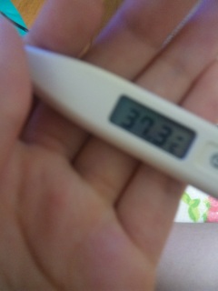 (untitled)